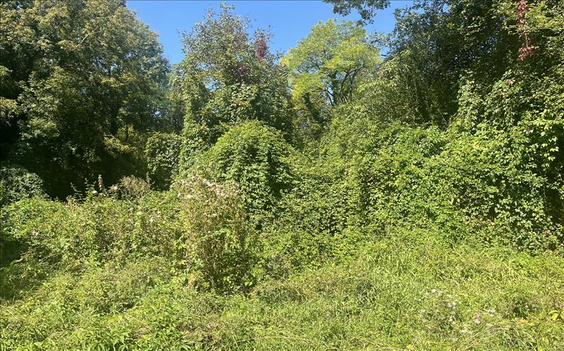 Vente Terrain LA SAUVETAT SUR LEDE - -1910 m² - (47150)