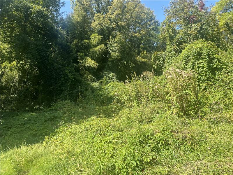 Vente Terrain LA SAUVETAT SUR LEDE - -1910 m² - (47150)