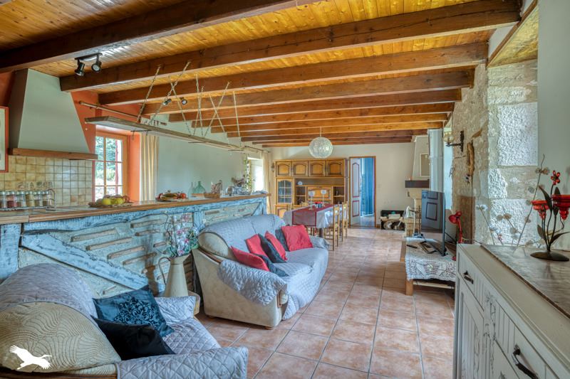 Vente Maison MONFLANQUIN - 5 pièces -263 m² - (47150)