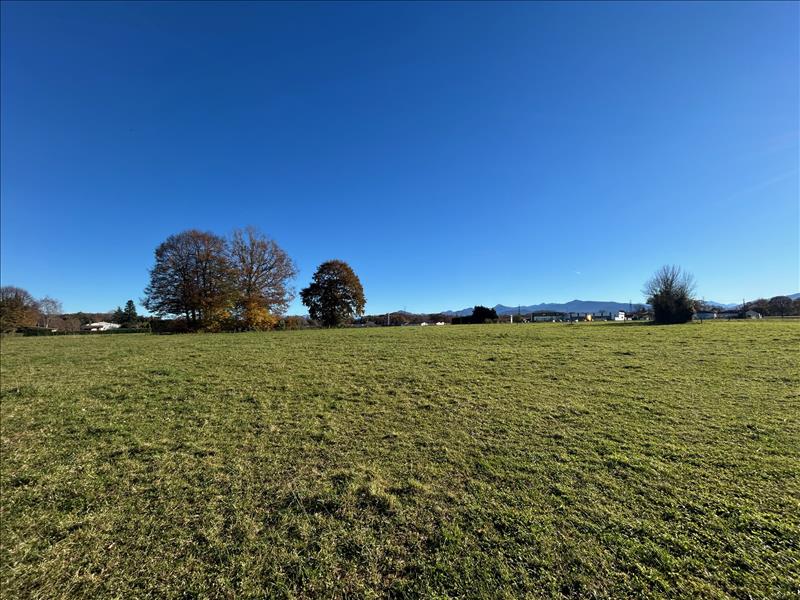 Vente Terrain LANNEMEZAN - -4055 m² - (65300)