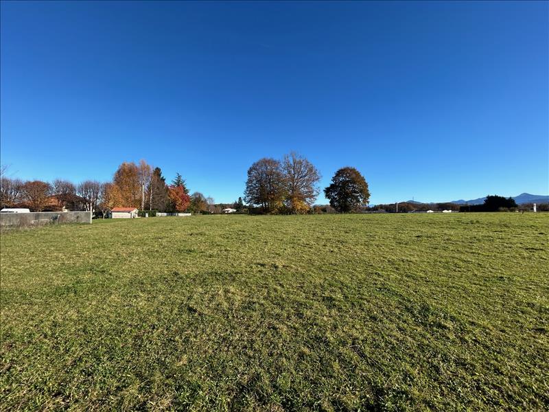 Vente Terrain LANNEMEZAN - -4055 m² - (65300)