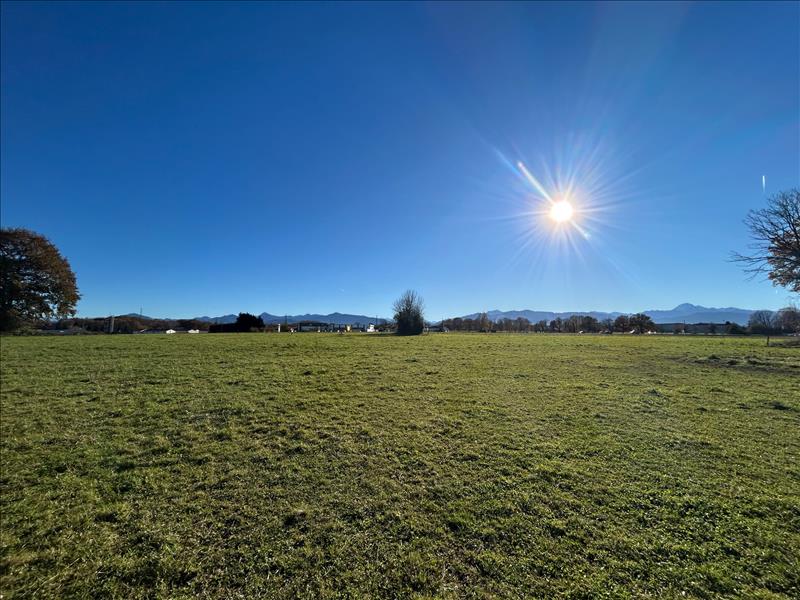 Vente Terrain LANNEMEZAN - -4055 m² - (65300)