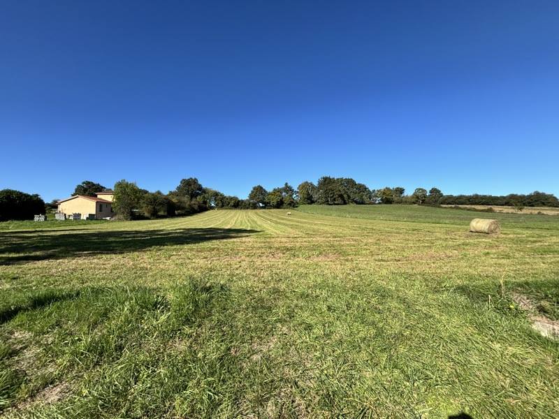 Vente Terrain UGLAS - -1800 m² - (65300)