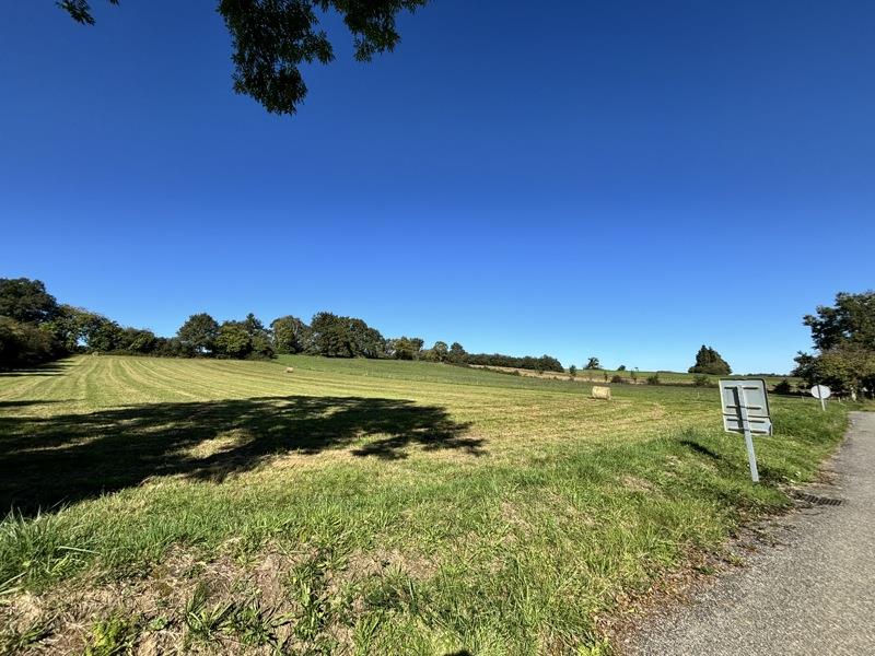 Vente Terrain UGLAS - -1800 m² - (65300)