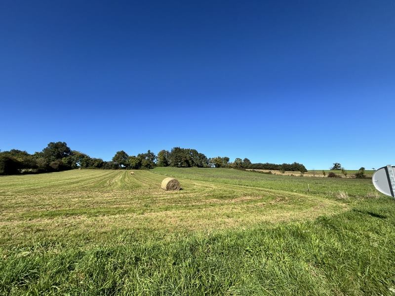 Vente Terrain UGLAS - -1780 m² - (65300)