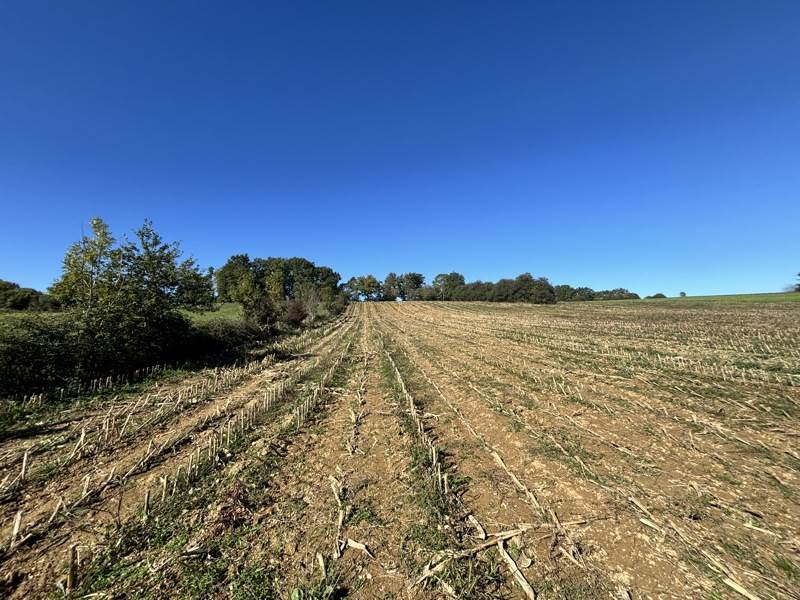 Vente Terrain UGLAS - -1800 m² - (65300)