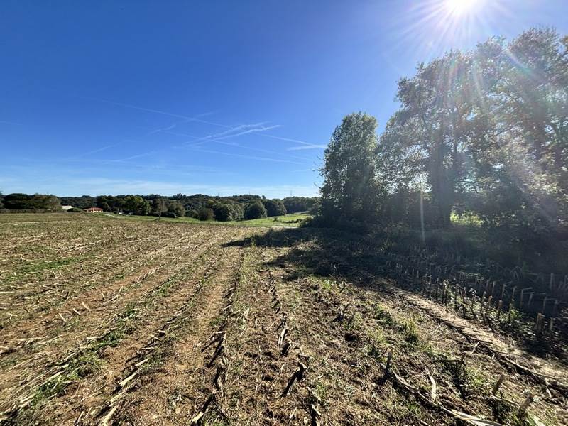 Vente Terrain UGLAS - -1800 m² - (65300)