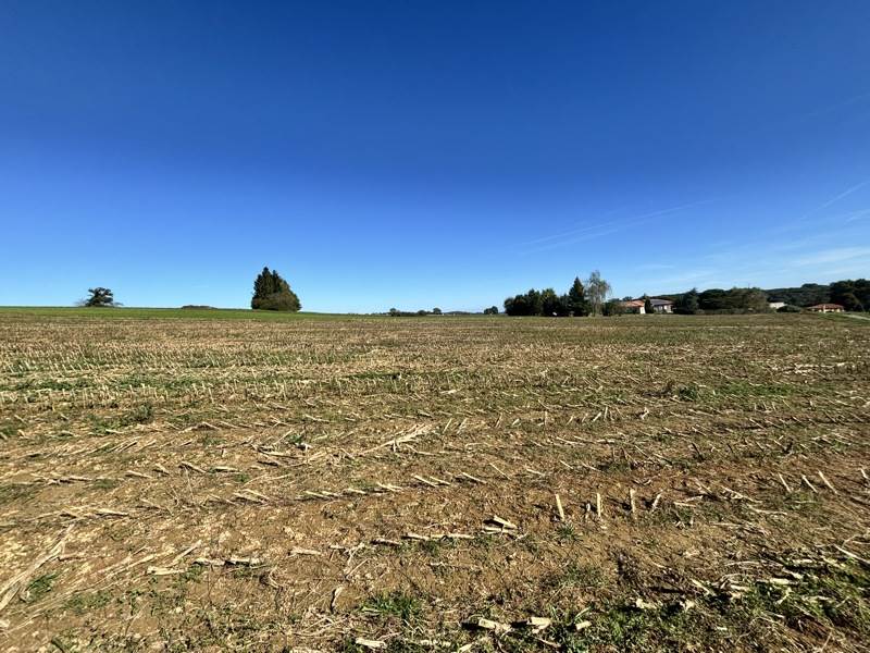 Vente Terrain UGLAS - -5120 m² - (65300)
