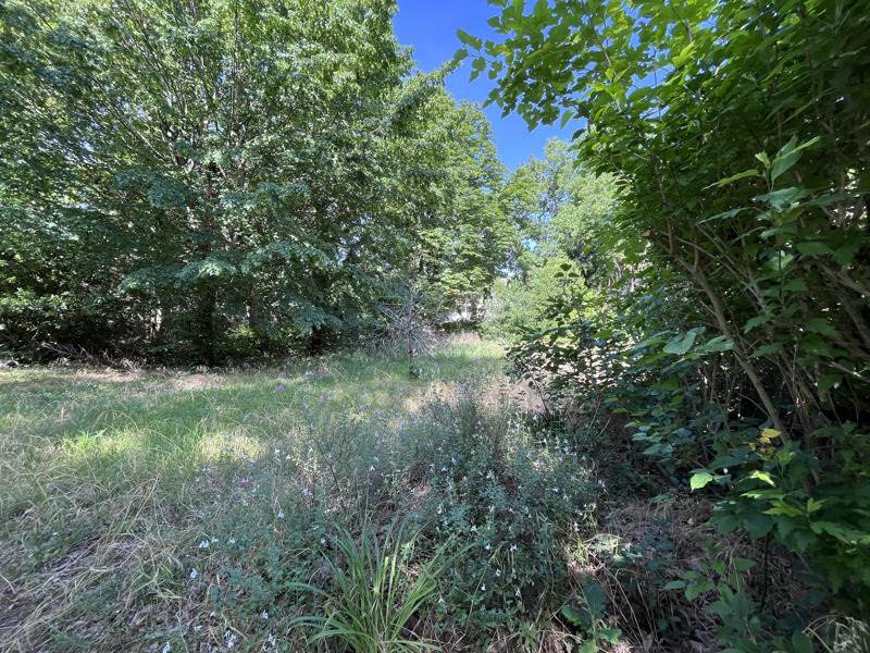Vente Terrain AUZEVILLE TOLOSANE - -1210 m² - (31320)