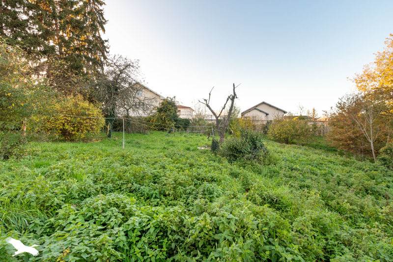 Vente Terrain LIMOGES - -2897 m² - (87000)
