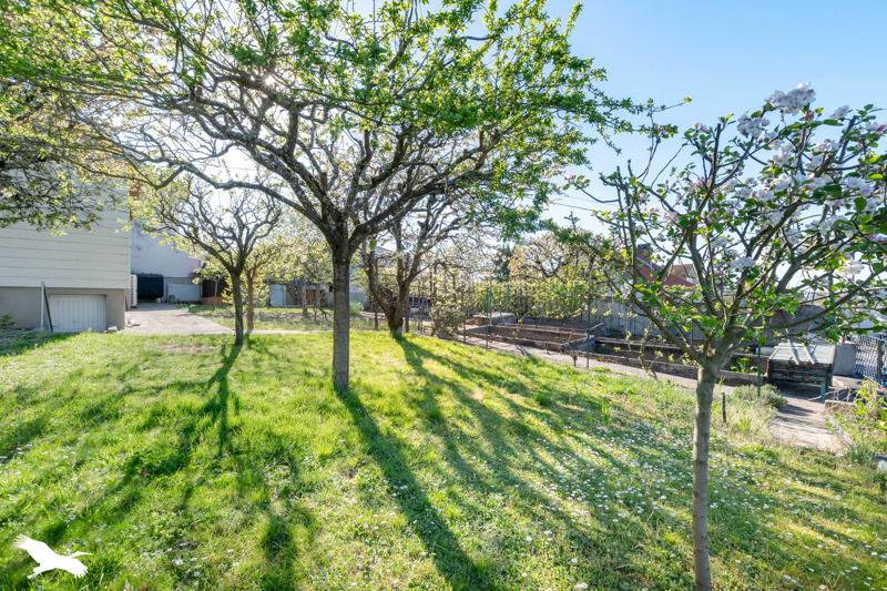 Vente Maison LIMOGES - 5 pièces -115 m² - (87000)