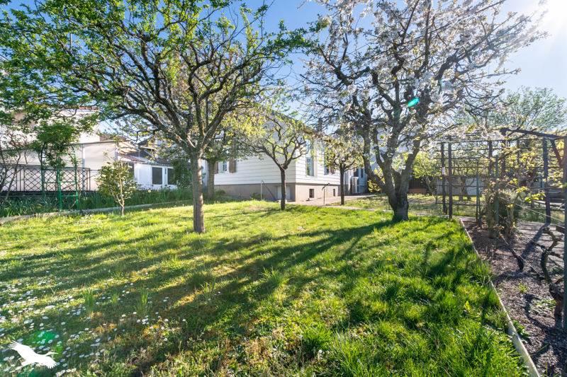 Vente Maison LIMOGES - 5 pièces -115 m² - (87000)