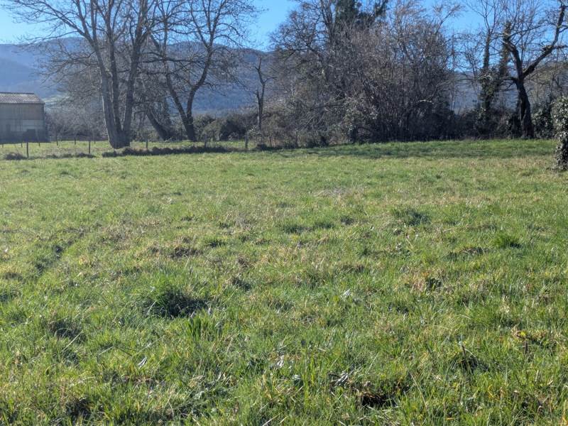 Vente Terrain ST GIRONS - -480 m² - (09200)