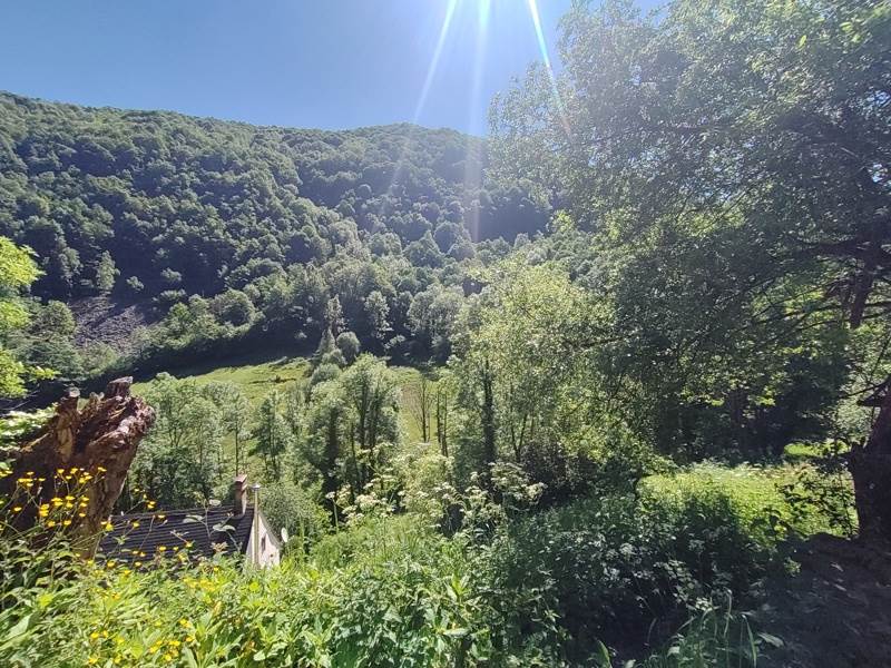 Vente Maison LE PORT - 3 pièces -79 m² - (09320)