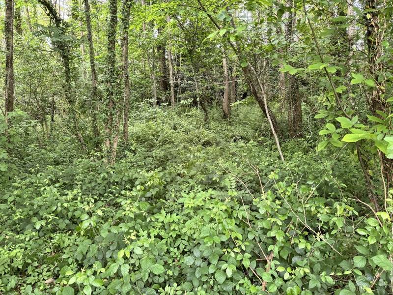 Vente Terrain Rimont - -1772 m² - (09420)
