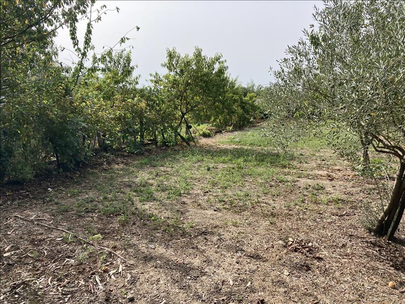 Vente Maison GONDRIN - 6 pièces -111 m² - (32330)