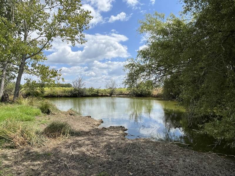 Vente Maison PARLEBOSCQ - 9 pièces -193 m² - (40310)