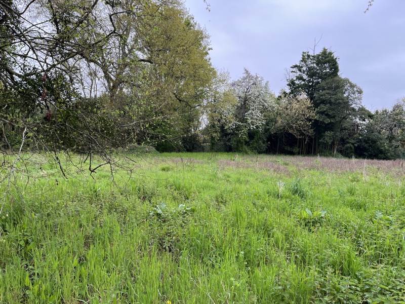 Vente Terrain EAUZE - -3373 m² - (32800)
