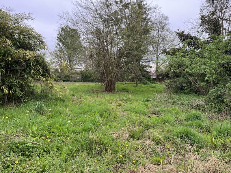 Vente Terrain EAUZE - -3373 m² - (32800)