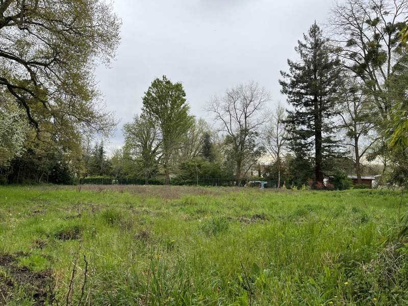 Vente Terrain EAUZE - -3373 m² - (32800)