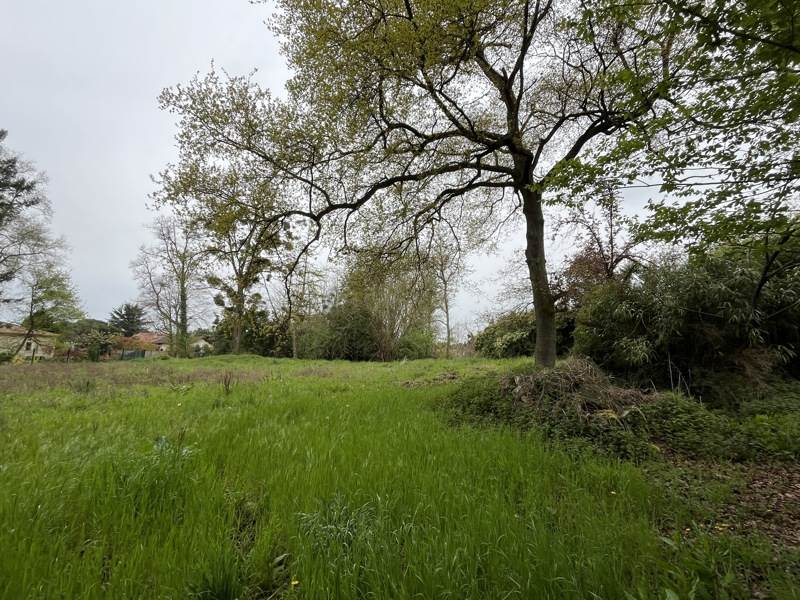 Vente Terrain EAUZE - -3373 m² - (32800)