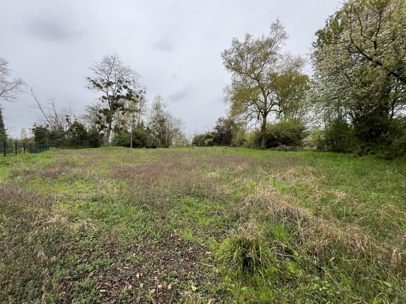 Vente Terrain EAUZE - -3373 m² - (32800)