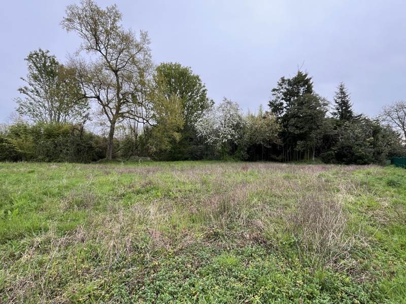 Vente Terrain EAUZE - -3373 m² - (32800)