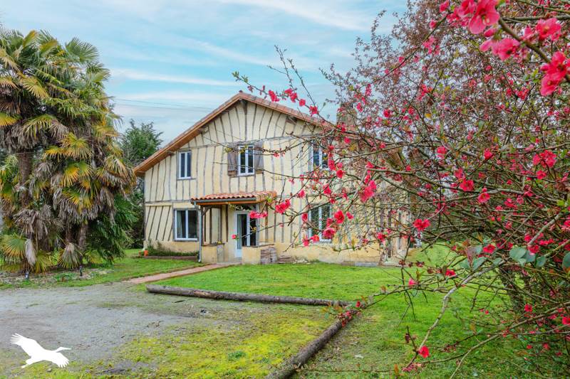 Vente Maison BRETAGNE D ARMAGNAC - 7 pièces -215 m² - (32800)