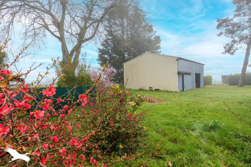 Vente Maison GABARRET - 5 pièces -160 m² - (40310)