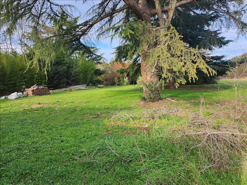 Vente Terrain TOULOUSE - -485 m² - (31100)
