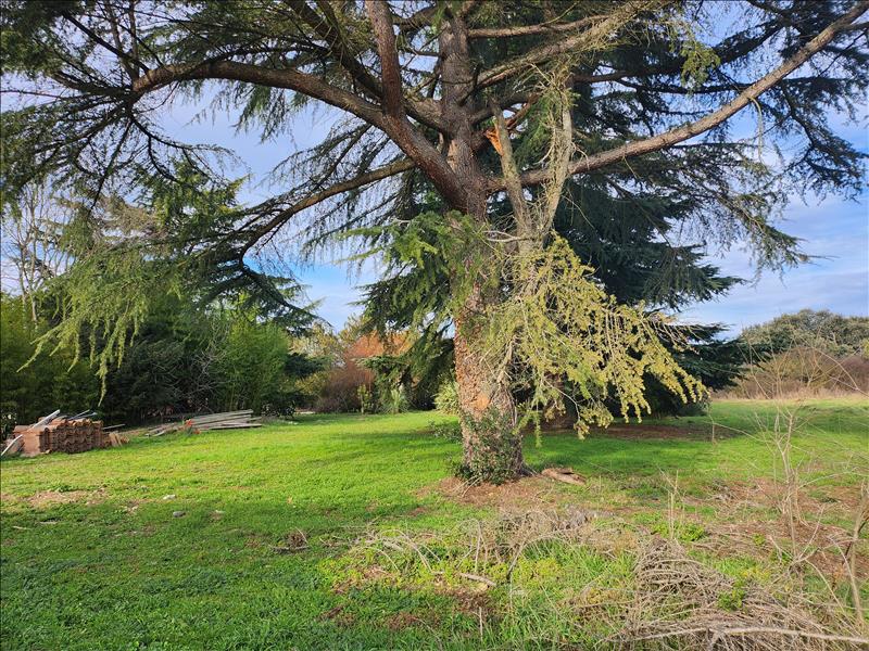 Vente Terrain TOULOUSE - -485 m² - (31100)