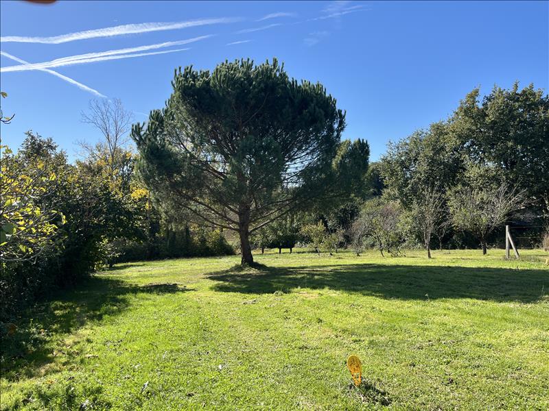 Vente Terrain SAMATAN - -1568 m² - (32130)