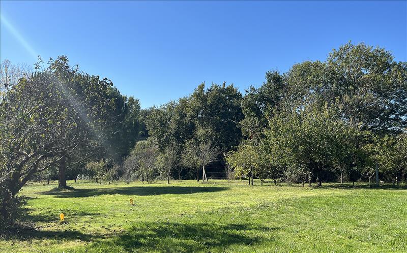 Vente Terrain SAMATAN - -1568 m² - (32130)