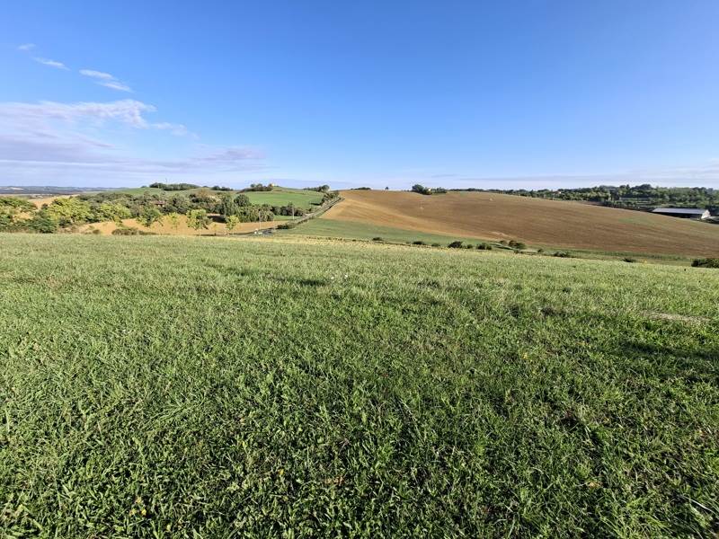 Vente Terrain PELLEFIGUE - -1690 m² - (32420)