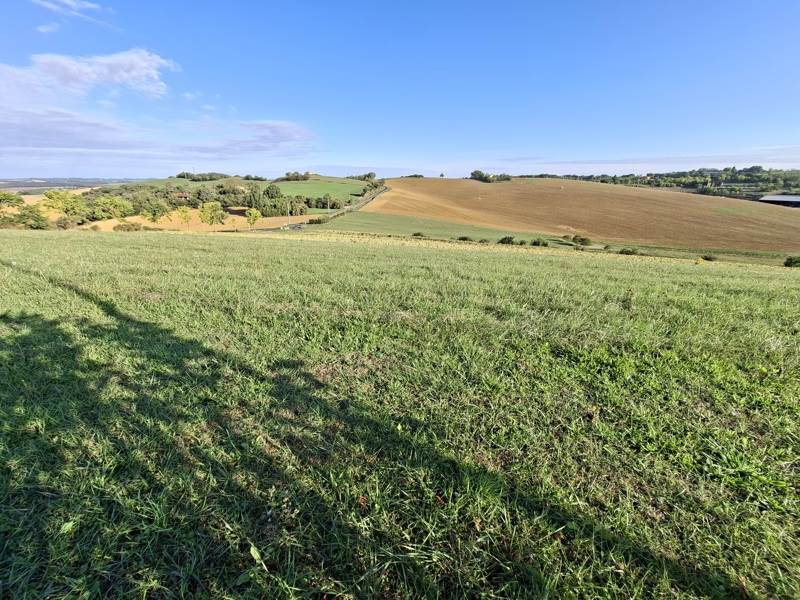 Vente Terrain PELLEFIGUE - -1690 m² - (32420)