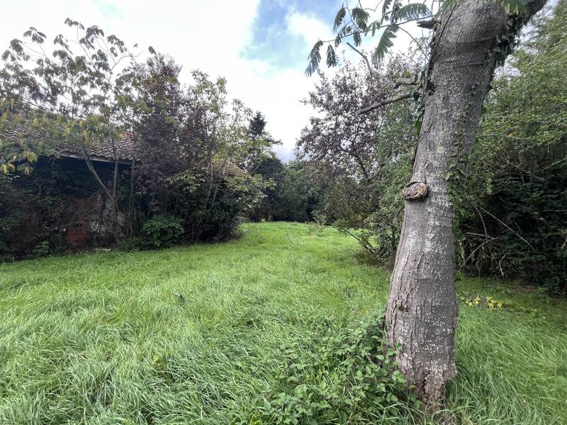 Vente Terrain SAMATAN - -2565 m² - (32130)