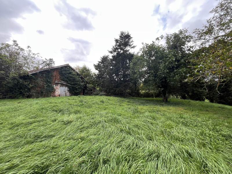 Vente Terrain SAMATAN - -2565 m² - (32130)