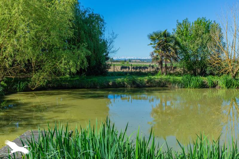 Vente Maison LOMBEZ - 7 pièces -280 m² - (32220)