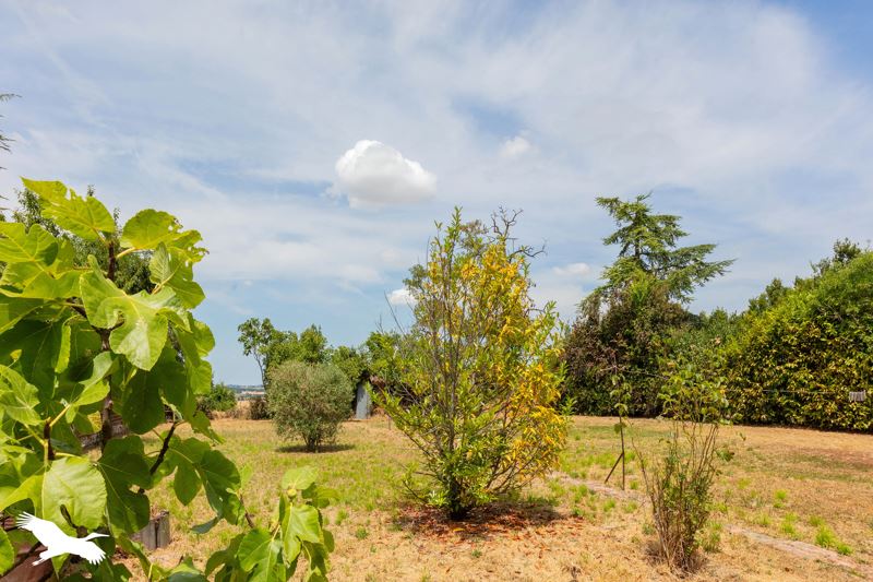 Vente Maison PUYLAUSIC - 5 pièces -129 m² - (32220)