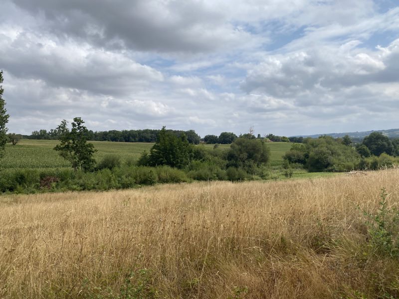 Vente Terrain Montesquieu-Guittaut - -1850 m² - (31230)