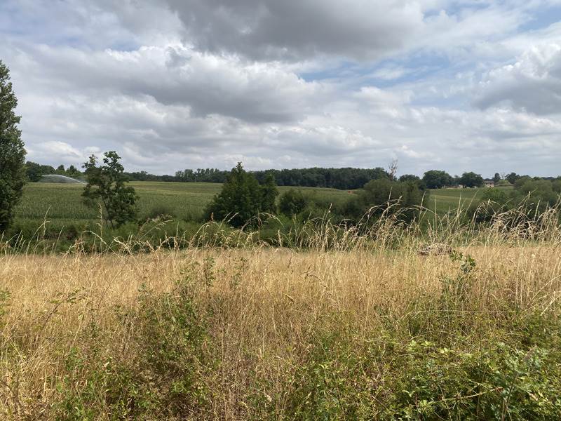 Terrain à vendre · à Montesquieu-Guittaut · 25 000 €