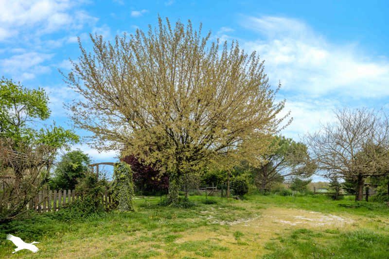 Vente Maison FOUQUEURE - 5 pièces -200 m² - (16140)