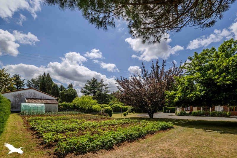 Vente Maison VERTEUIL SUR CHARENTE - 9 pièces -245 m² - (16510)