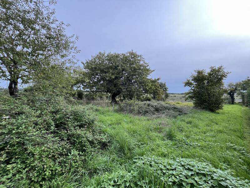 Vente Maison LONDIGNY - 6 pièces -119 m² - (16700)