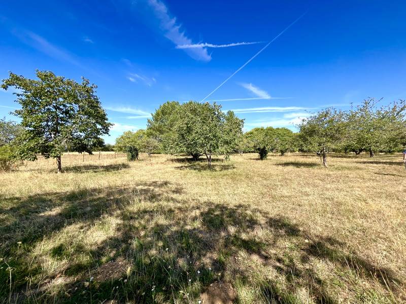Vente Maison CELLEFROUIN - 5 pièces -185 m² - (16260)
