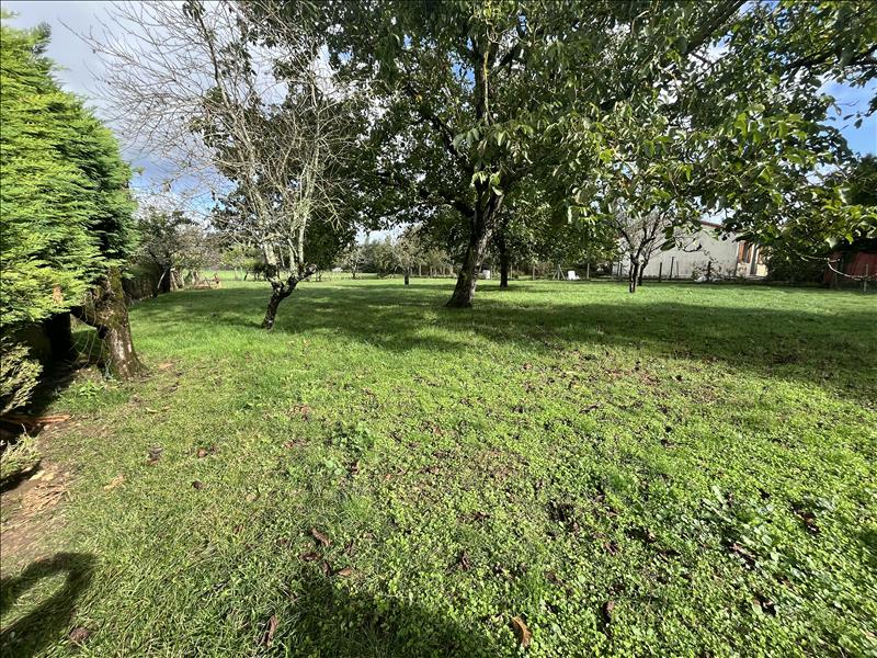 Vente Terrain LA ROCHEFOUCAULD EN ANGOUMOIS - -1508 m² - (16110)