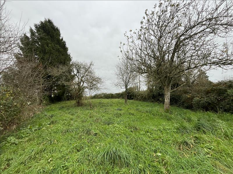 Vente Maison MAZEROLLES - 4 pièces -157 m² - (16310)