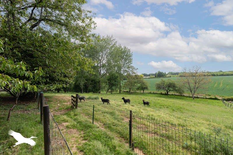Vente Maison RIVIERES - 5 pièces -96 m² - (16110)