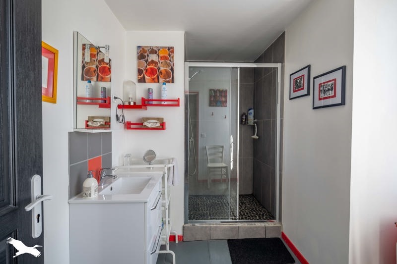 Vente Maison La Rochefoucauld-en-Angoumois - 11 pièces -251 m² - (16110)