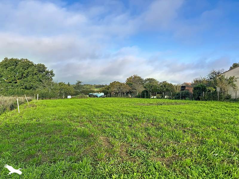 Vente Terrain Les Pins - -1510 m² - (16260)